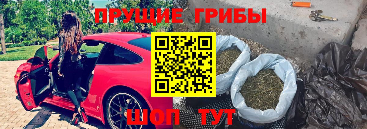 даркнет сайт  Псилоцибиновые грибы MAGIC MUSHROOMS  Вход с VPN  Чебоксары 